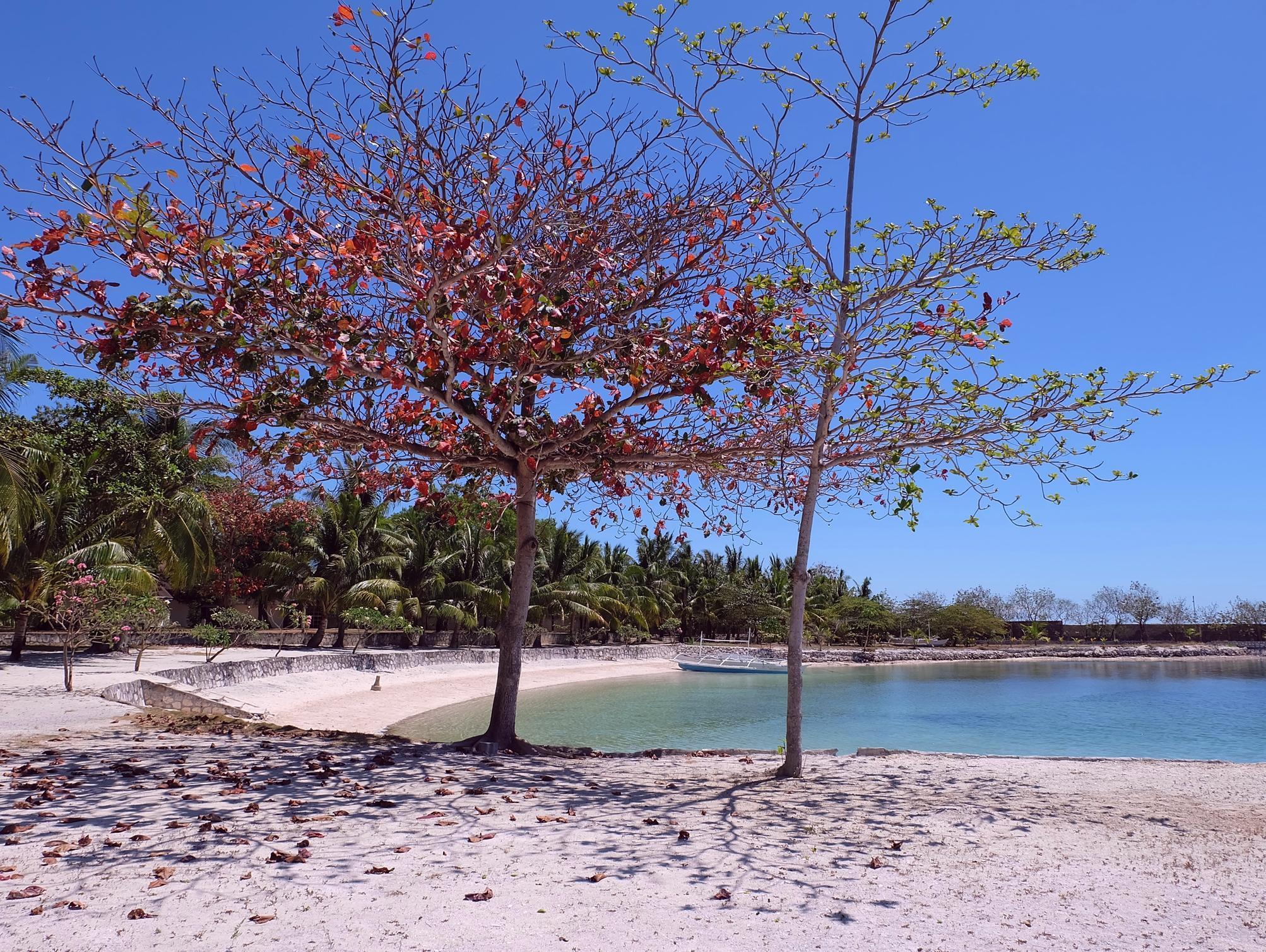 Cordova Reef Village Resort Île de Mactan Extérieur photo