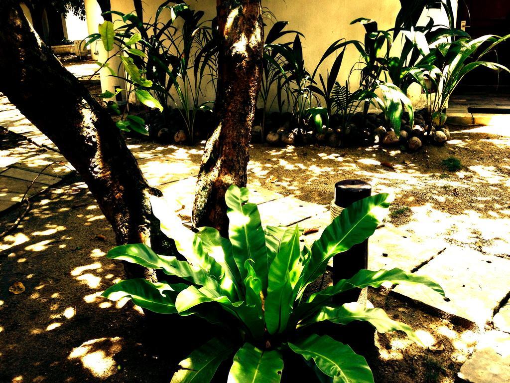 Cordova Reef Village Resort Île de Mactan Extérieur photo